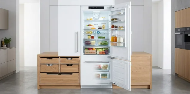 Assistenza Frigoriferi Miele Roma. Frigorifero Miele Roma a casa del cliente.